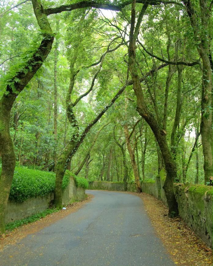 Serra de Sintra